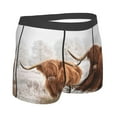 thumbnail image 3 of Balery Men'S Design Name Ultra Soft Performance Boxer Briefs-Size Name, 3 of 9