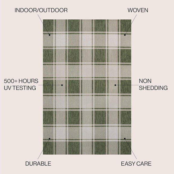Bold Gingham Indoor Outdoor Area Rug 4X6 Green/Cream