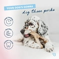 thumbnail image 4 of Benebone Puppy 2-Pack Rubber Bone/Wishbone Bacon Tiny, 4 of 6