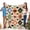 40x30inch(102cmx76cm), variant on Halloween Plush Fleece Blanket - Ultra-Soft Flannel All-Season Cozy Throw with Witches, Ghosts, Frankenstein & Mummy Characters - Bedspread, Couch Cover, Party Decor - Multi-Color Gift &