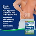 thumbnail image 2 of Salonpas Large Pain Relieving Patch, 5.67" x 3.62", 6 Patches (Pack of 9), 2 of 6