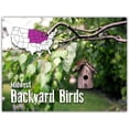 thumbnail image 5 of Midwest Backyard Bird Greeting Cards With Identification Card - 12 Different Birds - Blank on the Inside - 5.5" x 4.25" (12 Pack), 5 of 6