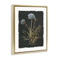 thumbnail image 2 of Stupell Industries French Country Cerulean Bloom on Dark Green Gold Floating Frame Canvas Art, 17 x 21, by Carol Robinson, 2 of 8