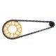 thumbnail image 4 of Cadena De Motocicleta RC Hugo Engranaje Delantero 10T 1:4 Oro, 4 of 9