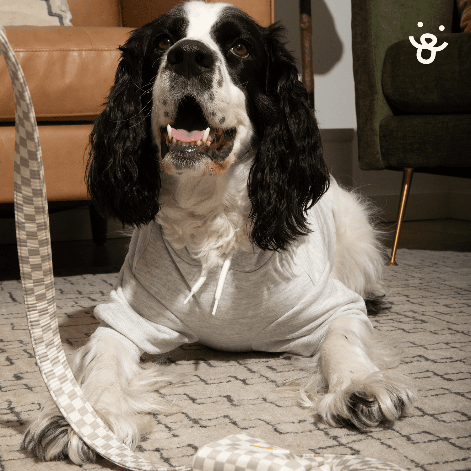 Oodles Lightning Bolt Bubble Hem Fall Dog Hoodie, White, Small