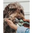 thumbnail image 4 of Dexypaws: Pet Nail Clipper - Large - Sage Green, Dog & Cat Grooming Tool, Precision Trimming, Stainless Steel Blades, Animal Care & Paw Maintenance, 4 of 9
