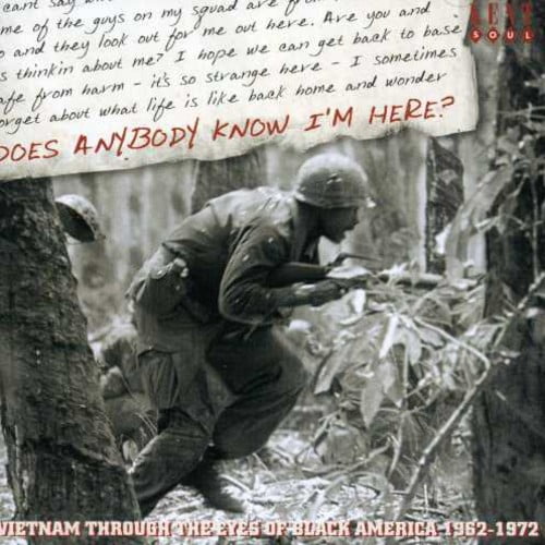 Various Artists - Does Anybody Know I'm Here? Vietnam Thro - Music & Performance - CD