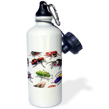 

3dRose Bug Pattern Sports Water Bottle 21oz