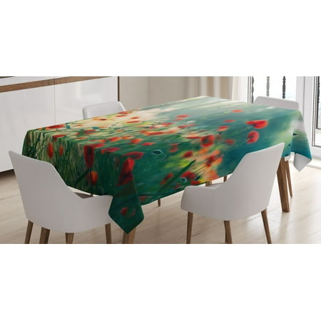 

Nature Tablecloth Wild Red Poppy Flowers Field Summertime Sunbeams Gardening Bedding Plants Rectangular Table Cover for Dining Room Kitchen 60 X 90 Inches Red Green Yellow by Ambesonne