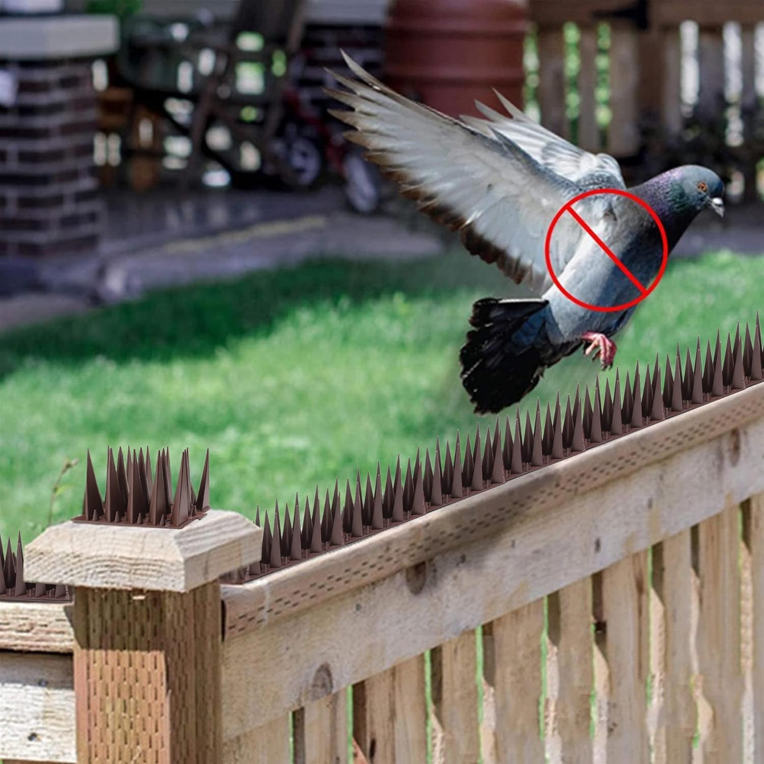 Bird Spikes () Bird Spikes