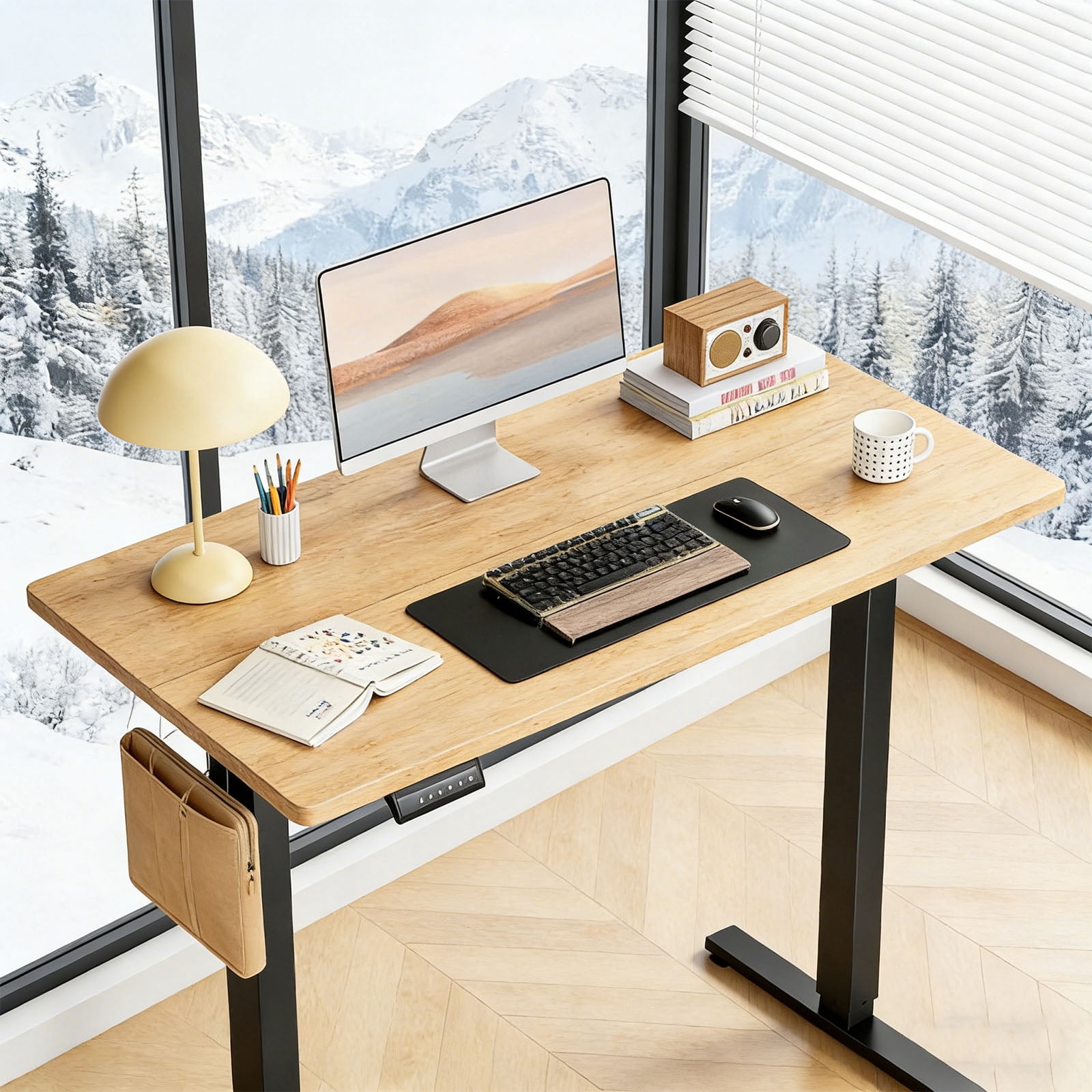 Casabay Electric Height Adjustable Standing Desk, 55"x24" Sit-to-Stand Desk Ergonomic Rising Computer Table for Home Office