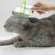 thumbnail image 5 of Peine para Mascotas, Cepillo Giratorio de 360 Grados, Diseño Autolimbiable, Suave Masaje, Reduce La Caída Del Pelo, para Mascotas de Pelo Corto y Largo, Herramienta Ergonómica y Cómoda., 5 of 7