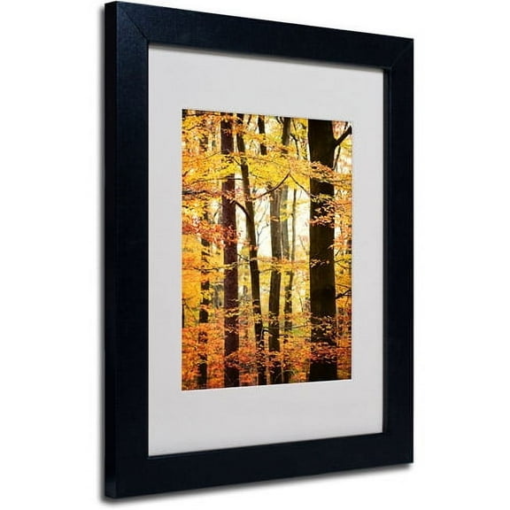 Trademark Fine Art "Between Us" Canvas Art by Philippe Sainte-Laudy, Black Frame