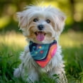 thumbnail image 2 of Dog Bandana 1 Pack,Colorful Tie Dye Flow Ball Pattern Bandanas for Dogs,Cat Bandana,Small/ Large Dog Bandana 2 Size,Dog Bandanas, 2 of 6
