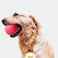 thumbnail image 3 of Solid TPR Pet Balls Bouncy Bite-Resistant Pet Training Ball; Pet Training Chewing Playing Ball Interactive Toy, 3 of 4