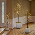 thumbnail image 5 of Lightshare Set of 3 Star Light Trees Christmas Decorations, Including 3 feet, 5 feet, and 6 feet, Warm White Christmas Tree, Brown Branch, 5 of 6