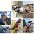 thumbnail image 7 of Essential dog harness, no-pull pet harness with 3 side rings for leash attachment, reflective and adjustable vest, for training, walking, running, 7 of 7