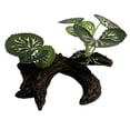 thumbnail image 1 of PFDDRW Artificial Turtle Tree Trunk Driftwood Aquarium Fish Tank Reptile Cylinder *, 1 of 8