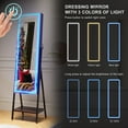 thumbnail image 6 of HNEBC LED Mirror Jewelry Cabinet Standing, Lockable Jewelry Armoire organizer Full Length Mirror with Storage, Adjustable Lights Jewelry Mirror Brown, 6 of 9