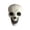 #1, variant on Halloween Plastic Skull Decor Statue – 2 Styles LED Glowing Red Eyes or Unlit, Realistic Skeleton Head Tabletop Ornament for Party Home Gothic Spooky Display