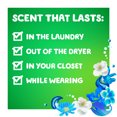 thumbnail image 6 of Gain Liquid Laundry Detergent +Aroma Boost, Blissful Breeze, 50 Fl Oz 32 Loads, 6 of 6