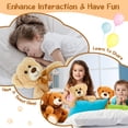 thumbnail image 4 of MaoGoLan 13'' Cute Teddy Bear Stuffed Animal Dark Brown Bear Plush Toy, 4 of 8