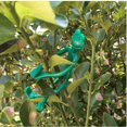 thumbnail image 4 of Lazos de jardín de rana, lazos de árbol, lazos decorativos de estilo rana, lazos de jardín flexibles para soporte de plantas, suministros de jardinería, 10 Uds., 4 of 5