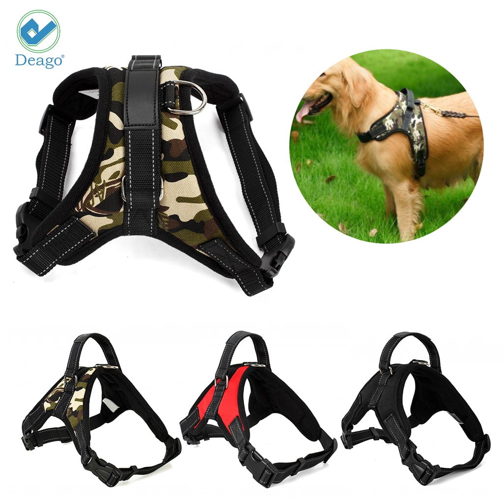  IVY&LANE No Pull Dog Harness for Small Dogs, Dog Vest Harness  with Leash, Safety Belt and Storage Strap, Fully Adjustable Harness, 360°  Reflective Strip, Soft Handle (Blue, XS) : Pet Supplies
