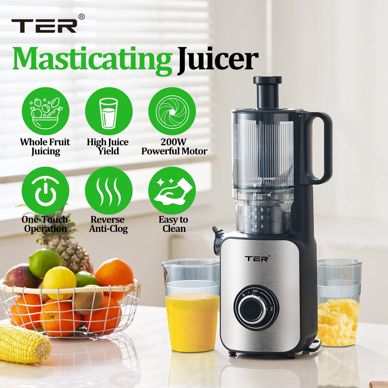 TER 250W Cold Press Juicer with 5-Inch Wide Chute, Slow Masticating Juicer for Vegetables and Fruits, Stainless Steel, Includes 2 Cups, Silver
