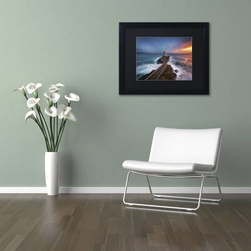 Trademark Fine Art "Red of Pleasure" Canvas Art by Mathieu Rivrin, Black Matte, Black Frame