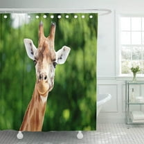Libin Close Up of Giraffe in Front Some Green Trees Looking at the Camera As If to Say You Polyester Shower Curtain Bathroom Decor 66x72 inches