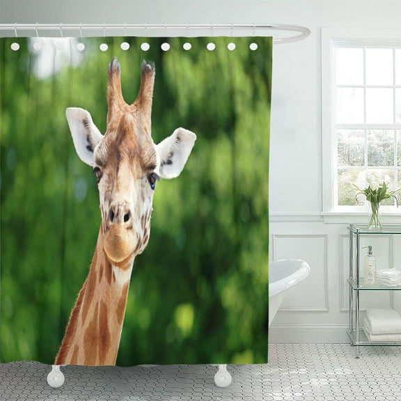 Libin Close Up of Giraffe in Front Some Green Trees Looking at the Camera As If to Say You Polyester Shower Curtain Bathroom Decor 66x72 inches