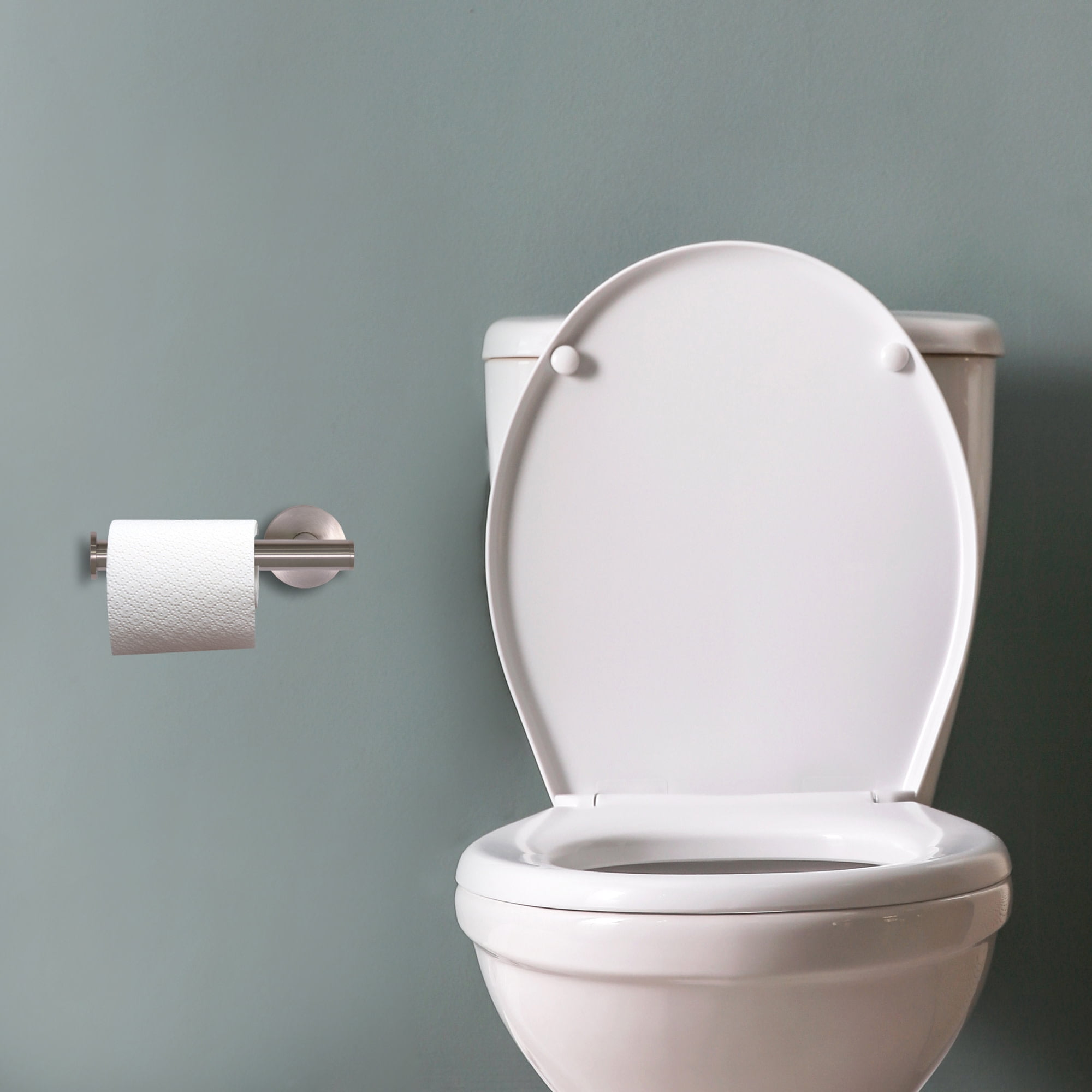Design House Kelton Wall Mounted Toilet Paper Holder, Satin Nickel