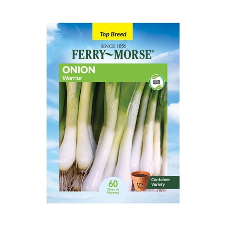 Ferry-Morse 500MG Onion Warrior Perennial Vegetable Seeds, Full Sun