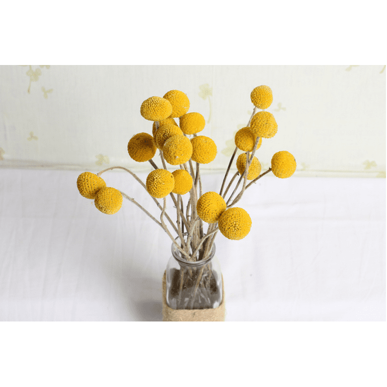 Billy Balls Home Decoration Arrangment / Real Dried Flowers Home