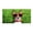 F, variant on Fnochy Oversized Dog Design Beach Towels Quick-Dry Ultra Absorbent Lightweight for Travel Yoga Pool Summer Gifts