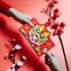 thumbnail image 1 of Paquetes rojos de año Nuevo, sobres rojos para regalo Hongbao 2024, sobres para dinero de la del dragón, Hong Bao para fiesta de graduación, 22cmx14cm, 1 of 10