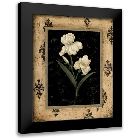 Andrew, Regina 12x14 Black Modern Framed Museum Art Print Titled - Silver Iris