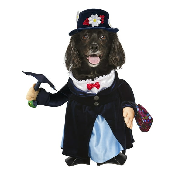 Mary Poppins Pet Costume