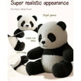 thumbnail image 5 of GvuoFny 10" Panda Stuffed Animal, Soft Sitting Stuffed Animal for Kids, Cute Huggable Panda Pillow, Plush Gift for Girls and Boys, 5 of 7