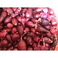 thumbnail image 2 of Red Onion Sets - 100 bulbs for planting - Grow white onions or green onions in your home garden, 2 of 2