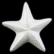 Urban Trends Red Knobbed Ceramic Sea Star Sculpture
