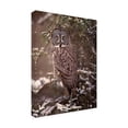 thumbnail image 2 of Trademark Fine Art 'Owl in the Snow I' Canvas Art by PHBurchett, 2 of 3