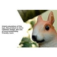 thumbnail image 3 of Moyic Adorno de jardín, estatua de ardilla, de Animal, mano de obra, tamaño compacto, aspecto, dulce regalo de larga Type2 NO2, 3 of 6