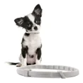 thumbnail image 1 of Collar Para Perros Pequeños Y Gatos De Menos O Más De 8 Kg, 1 of 8