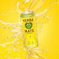 thumbnail image 5 of Guayakí Yerba Mate, Organic Energy Drink Alternative, Bravo Mango, Low Sugar, 150mg Natural Caffeine, Better for You Energy & Focus, No Jitters or Crash, 15.5 Oz (Pack of 12), 5 of 5
