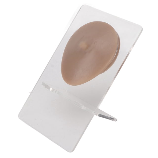 Modelo de pezón de silicona suave, modelo de práctica de perforación corporal de un solo pezón de silicona suave Modelo de pezón de silicona perforador multifuncional