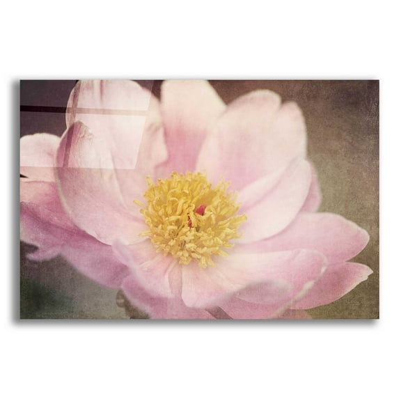 Epic Art 'Peony in the Park' by Dawn LeBlanc, Acrylic Glass Wall Art, 24"x16"
