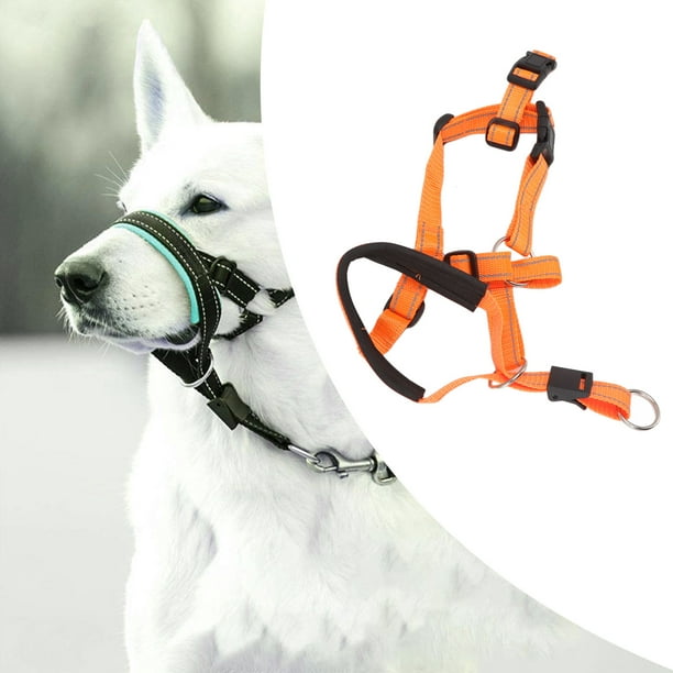 Dog Head Harness Dog Head Collar Breathable Humanized Design Pressure Relief For Outdoor Orange Blue Red Walmart