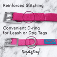 thumbnail image 3 of Regal Dog Products Nylon Collar with Metal Buckle | Durable Pet Collar with D-Ring & Reinforced Stitching, 3 of 8